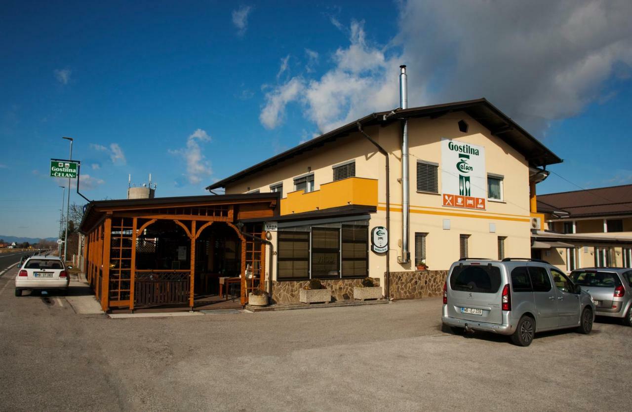 Guest House Celan Spodnja Hajdina Экстерьер фото
